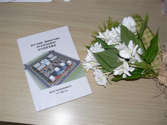 孝感保鮮蔬菜與冷藏建設(shè)項目可行性研究報告